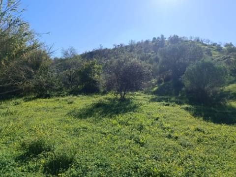 TERRENO COM 8.760 M2 - COM POÇO - EM PISA BARRO - CASTRO MARIM - ALGARVE
