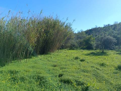 TERRENO COM 8.760 M2 - COM POÇO - EM PISA BARRO - CASTRO MARIM - ALGARVE