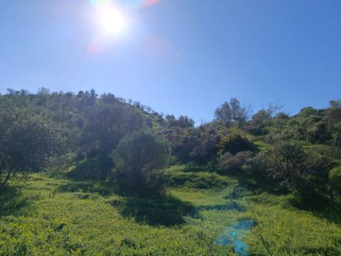 TERRENO COM 8.760 M2 - COM POÇO - EM PISA BARRO - CASTRO MARIM - ALGARVE