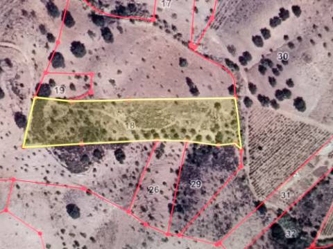 TERRENO COM 8.760 M2 - COM POÇO - EM PISA BARRO - CASTRO MARIM - ALGARVE