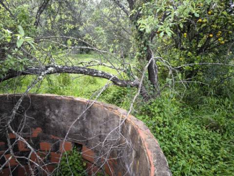 TERRENO COM 8.760 M2 - COM POÇO - EM PISA BARRO - CASTRO MARIM - ALGARVE