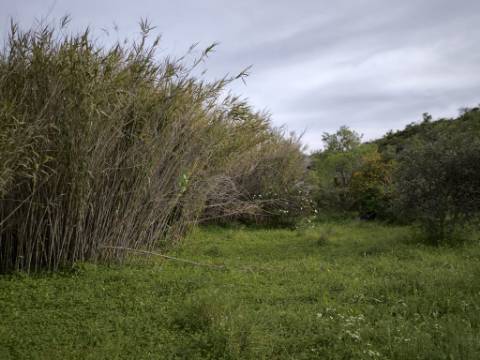 TERRENO COM 8.760 M2 - COM POÇO - EM PISA BARRO - CASTRO MARIM - ALGARVE