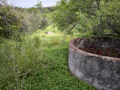 TERRENO COM 8.760 M2 - COM POÇO - EM PISA BARRO - CASTRO MARIM - ALGARVE
