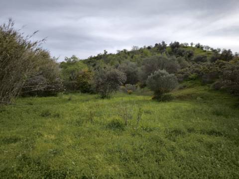 TERRENO COM 8.760 M2 - COM POÇO - EM PISA BARRO - CASTRO MARIM - ALGARVE