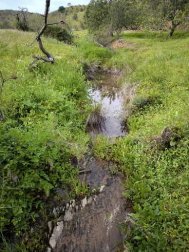 TERRENO COM 8.760 M2 - COM POÇO - EM PISA BARRO - CASTRO MARIM - ALGARVE