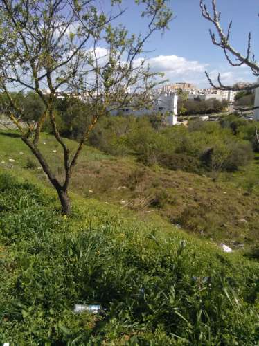 Terreno para construção de lar em Lagos