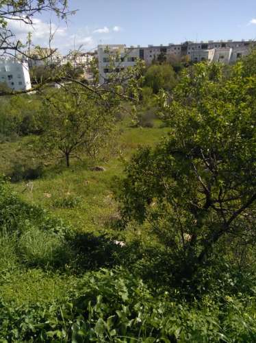 Terreno para construção de lar em Lagos