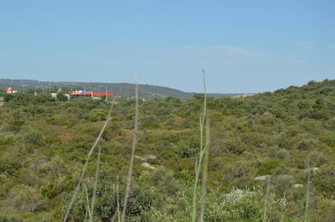 Terreno Misto com Moinho em Moncarapacho