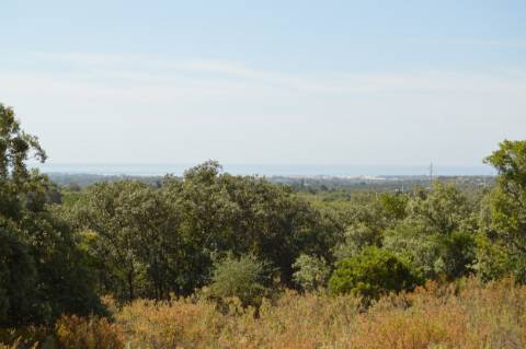 Terreno Misto com Moinho em Moncarapacho