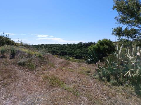 TERRENO COM RUINAS COM 14.040M2 - VISTA MAR E RIO - VALE FRIO - CASTRO MARIM - ALGARVE