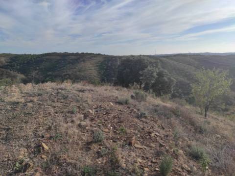 TERRENO RUSTICO COM 3.330 M2 VISTA LAGO PRÓXIMO AS QUEBRADAS EM CASTRO MARIM - ALGARVE