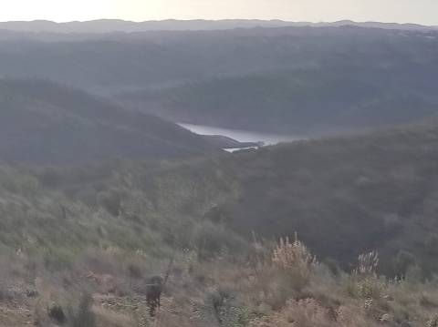 TERRENO RUSTICO COM 3.330 M2 VISTA LAGO PRÓXIMO AS QUEBRADAS EM CASTRO MARIM - ALGARVE