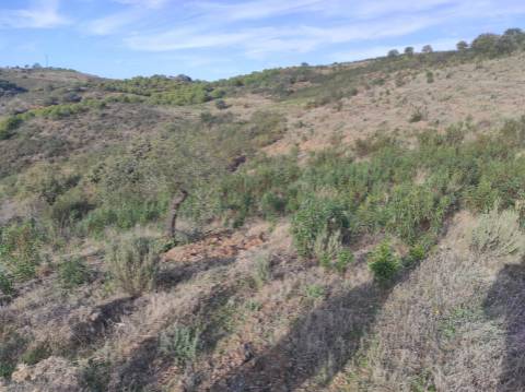 TERRENO RUSTICO COM 3.330 M2 VISTA LAGO PRÓXIMO AS QUEBRADAS EM CASTRO MARIM - ALGARVE