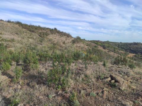 TERRENO RUSTICO COM 3.330 M2 VISTA LAGO PRÓXIMO AS QUEBRADAS EM CASTRO MARIM - ALGARVE