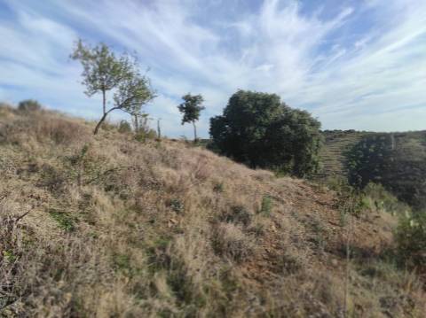 TERRENO RUSTICO COM 3.330 M2 VISTA LAGO PRÓXIMO AS QUEBRADAS EM CASTRO MARIM - ALGARVE
