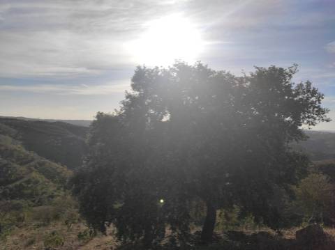 TERRENO RUSTICO COM 3.330 M2 VISTA LAGO PRÓXIMO AS QUEBRADAS EM CASTRO MARIM - ALGARVE