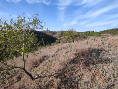 TERRENO RUSTICO COM 3.330 M2 VISTA LAGO PRÓXIMO AS QUEBRADAS EM CASTRO MARIM - ALGARVE
