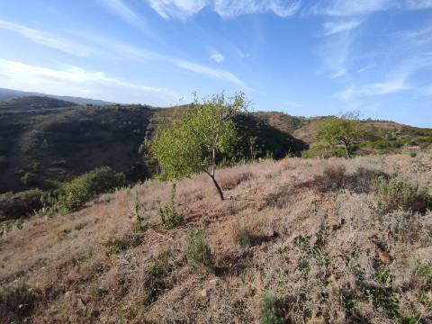 TERRENO RUSTICO COM 3.330 M2 VISTA LAGO PRÓXIMO AS QUEBRADAS EM CASTRO MARIM - ALGARVE