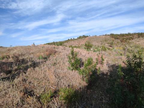 TERRENO RUSTICO COM 3.330 M2 VISTA LAGO PRÓXIMO AS QUEBRADAS EM CASTRO MARIM - ALGARVE