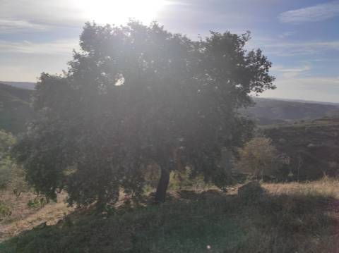 TERRENO RUSTICO COM 3.330 M2 VISTA LAGO PRÓXIMO AS QUEBRADAS EM CASTRO MARIM - ALGARVE