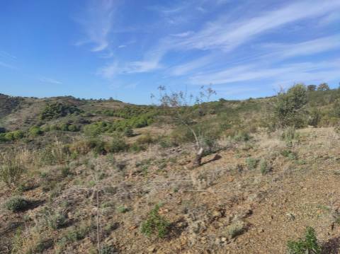 TERRENO RUSTICO COM 3.330 M2 VISTA LAGO PRÓXIMO AS QUEBRADAS EM CASTRO MARIM - ALGARVE