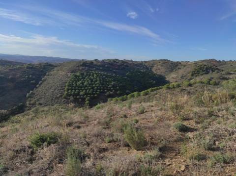 TERRENO RUSTICO COM 3.330 M2 VISTA LAGO PRÓXIMO AS QUEBRADAS EM CASTRO MARIM - ALGARVE
