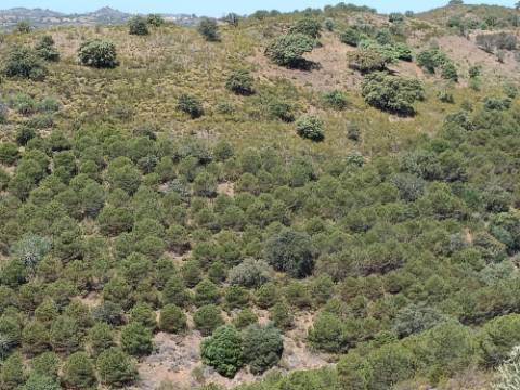 TERRENO RUSTICO COM 3.330 M2 VISTA LAGO PRÓXIMO AS QUEBRADAS EM CASTRO MARIM - ALGARVE