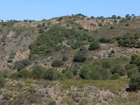 TERRENO RUSTICO COM 3.330 M2 VISTA LAGO PRÓXIMO AS QUEBRADAS EM CASTRO MARIM - ALGARVE