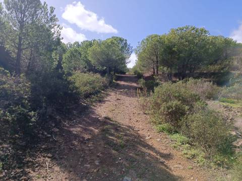 TERRENO RÚSTICO COM 13.120 M2 - TORNEIRO - ALCOUTIM - ALGARVE