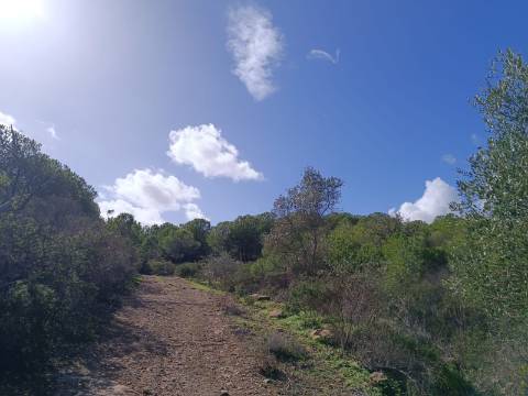 TERRENO RÚSTICO COM 13.120 M2 - TORNEIRO - ALCOUTIM - ALGARVE