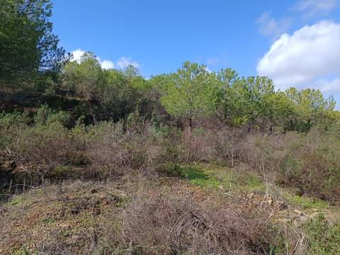 TERRENO RÚSTICO COM 13.120 M2 - TORNEIRO - ALCOUTIM - ALGARVE