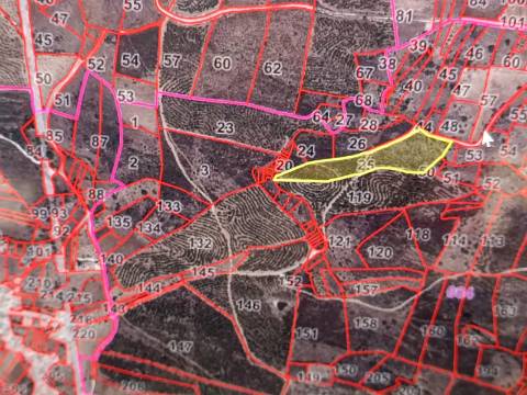 TERRENO RÚSTICO COM 13.120 M2 - TORNEIRO - ALCOUTIM - ALGARVE