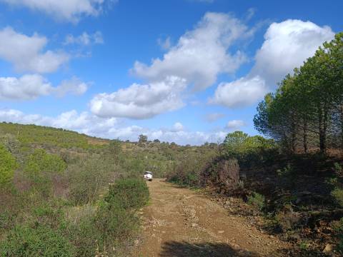 TERRENO RÚSTICO COM 13.120 M2 - TORNEIRO - ALCOUTIM - ALGARVE