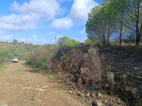 TERRENO RÚSTICO COM 13.120 M2 - TORNEIRO - ALCOUTIM - ALGARVE