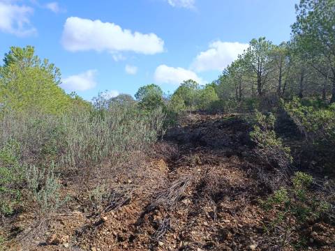 TERRENO RÚSTICO COM 13.120 M2 - TORNEIRO - ALCOUTIM - ALGARVE