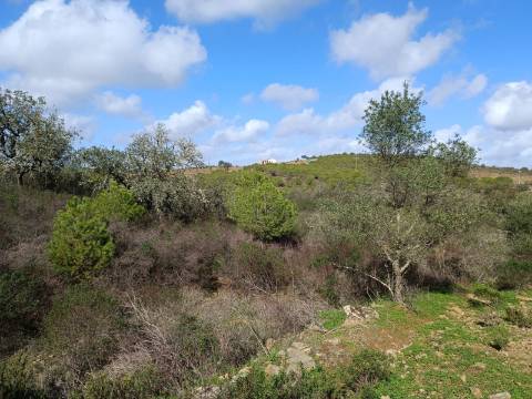 TERRENO RÚSTICO COM 13.120 M2 - TORNEIRO - ALCOUTIM - ALGARVE