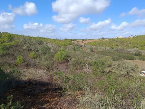 TERRENO RÚSTICO COM 13.120 M2 - TORNEIRO - ALCOUTIM - ALGARVE