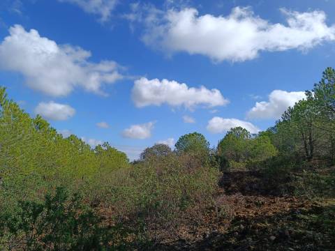 TERRENO RÚSTICO COM 13.120 M2 - TORNEIRO - ALCOUTIM - ALGARVE