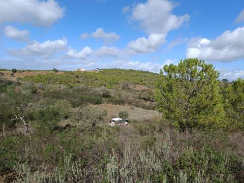 TERRENO RÚSTICO COM 13.120 M2 - TORNEIRO - ALCOUTIM - ALGARVE