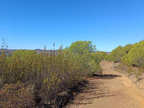 TERRENO COM 137.480 M2 - POSSIBILIDADE DE CONSTRUÇÃO RESIDENCIAL E TURISMO EM GALAXES - VAQUEIROS - ALCOUTIM