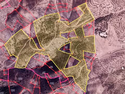 TERRENO COM 137.480 M2 - POSSIBILIDADE DE CONSTRUÇÃO RESIDENCIAL E TURISMO EM GALAXES - VAQUEIROS - ALCOUTIM