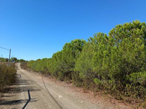 TERRENO COM 137.480 M2 - POSSIBILIDADE DE CONSTRUÇÃO RESIDENCIAL E TURISMO EM GALAXES - VAQUEIROS - ALCOUTIM