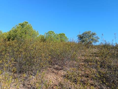 TERRENO COM 137.480 M2 - POSSIBILIDADE DE CONSTRUÇÃO RESIDENCIAL E TURISMO EM GALAXES - VAQUEIROS - ALCOUTIM