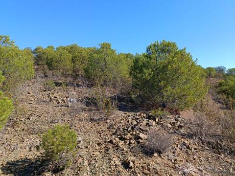 TERRENO COM 137.480 M2 - POSSIBILIDADE DE CONSTRUÇÃO RESIDENCIAL E TURISMO EM GALAXES - VAQUEIROS - ALCOUTIM
