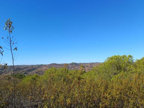 TERRENO COM 137.480 M2 - POSSIBILIDADE DE CONSTRUÇÃO RESIDENCIAL E TURISMO EM GALAXES - VAQUEIROS - ALCOUTIM