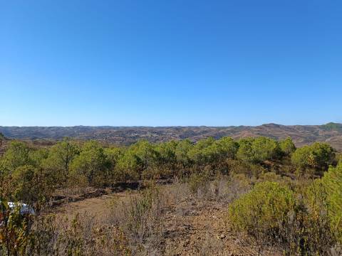 TERRENO COM 137.480 M2 - POSSIBILIDADE DE CONSTRUÇÃO RESIDENCIAL E TURISMO EM GALAXES - VAQUEIROS - ALCOUTIM
