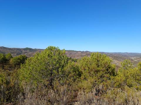 TERRENO COM 137.480 M2 - POSSIBILIDADE DE CONSTRUÇÃO RESIDENCIAL E TURISMO EM GALAXES - VAQUEIROS - ALCOUTIM