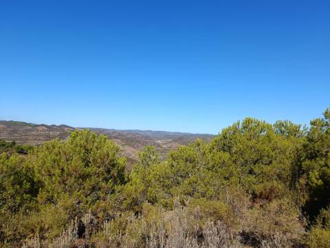TERRENO COM 137.480 M2 - POSSIBILIDADE DE CONSTRUÇÃO RESIDENCIAL E TURISMO EM GALAXES - VAQUEIROS - ALCOUTIM