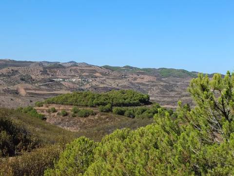 TERRENO COM 137.480 M2 - POSSIBILIDADE DE CONSTRUÇÃO RESIDENCIAL E TURISMO EM GALAXES - VAQUEIROS - ALCOUTIM
