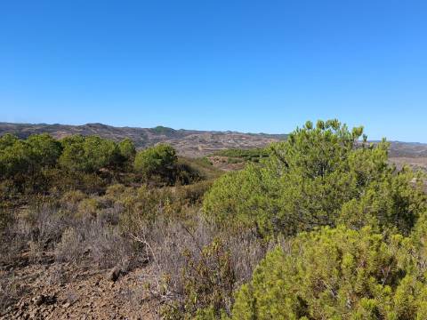 TERRENO COM 137.480 M2 - POSSIBILIDADE DE CONSTRUÇÃO RESIDENCIAL E TURISMO EM GALAXES - VAQUEIROS - ALCOUTIM